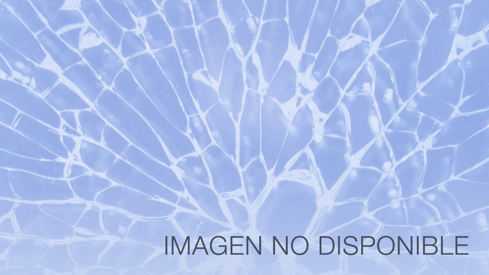Imagen no disponible Imagen no disponible