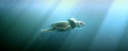 'Lemon', el corto sobre la contaminación en el mar