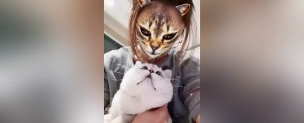 VÍDEO: Estos gatos flipan con el filtro que convierte a sus amos en felinos