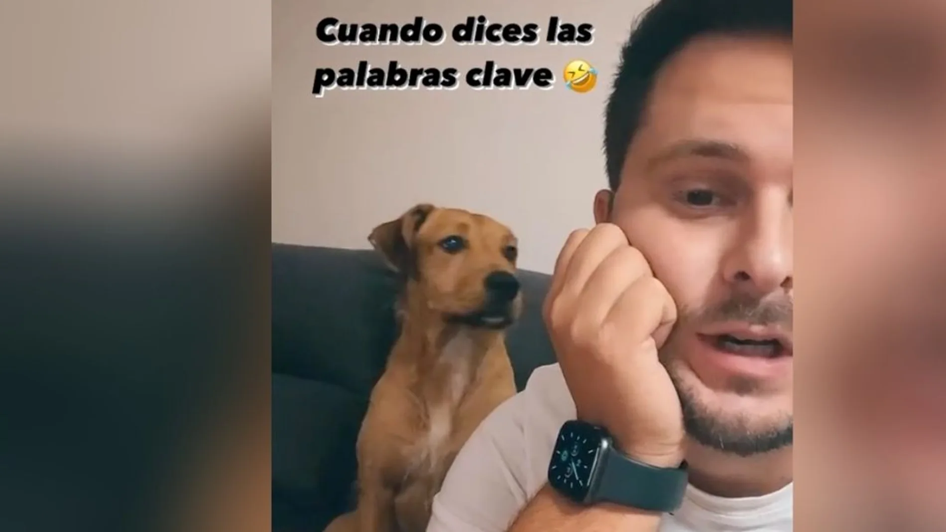 La entrañable reacción de un perro cuando su dueño dice las palabras 'calle' y 'premio' La entrañable reacción de un perro cuando su dueño dice las palabras 'calle' y 'premio'