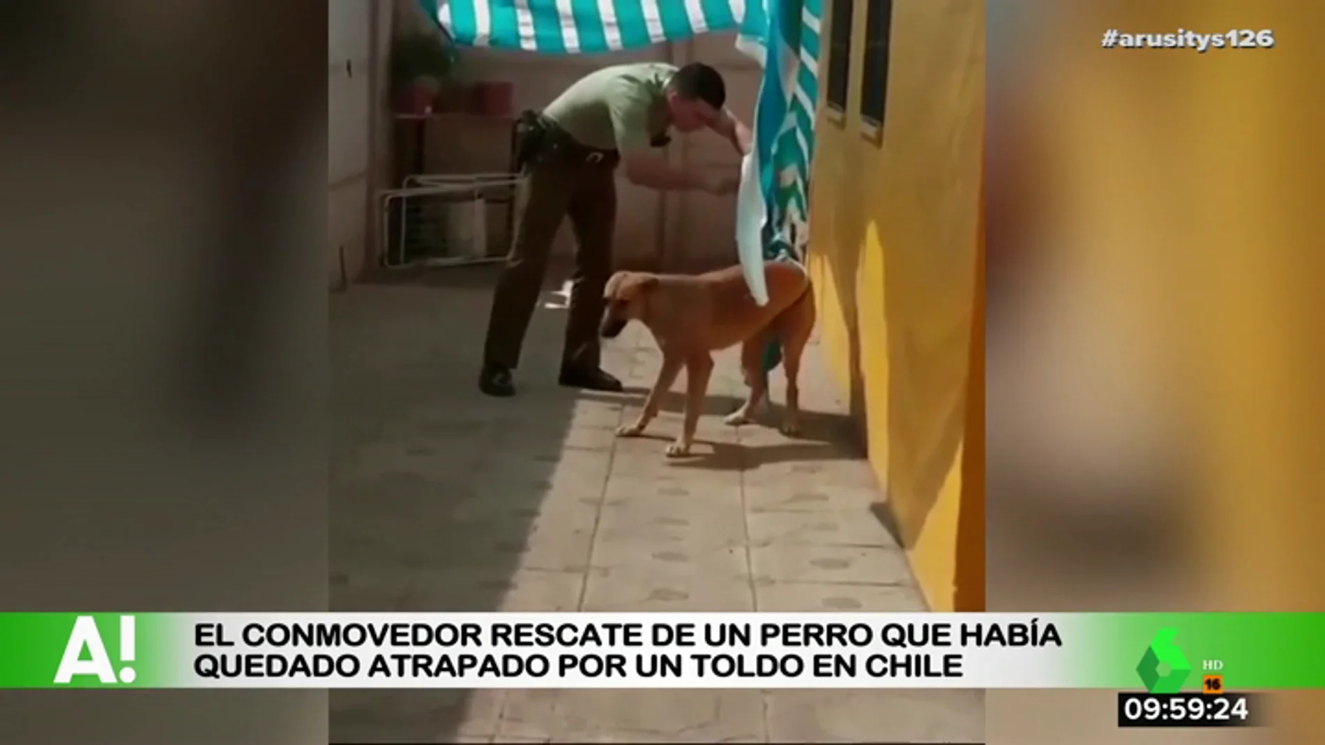 Rescate de un perro en Chile Rescate de un perro en Chile