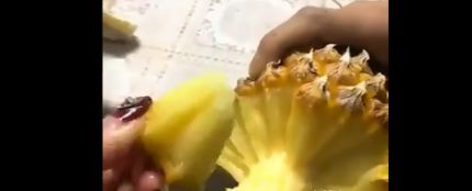 Imagen de la piña
