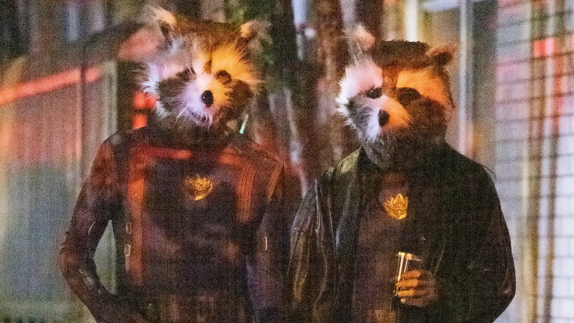 Bradley Cooper e Irina Shayk como Rocket Raccoon. Bradley Cooper e Irina Shayk como Rocket Raccoon.