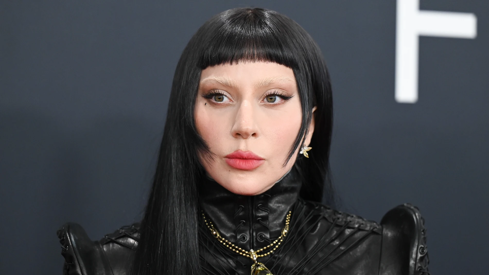 Lady Gaga Lady Gaga